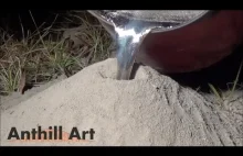Płynne aluminium wlane do gniazda ognistych mrówek.