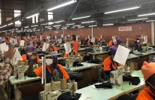 Fabryki szyjące dla ikony dżinsów: praca za seks i za półdarmo.