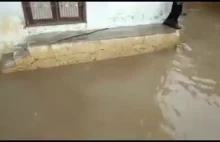 Woda zalała ulice miasta dodatkowo skrywają się pod nią krokodyle