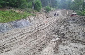 Miał być rezerwat przyrody, a powstają błotniste autostrady dla tirów z drewnem