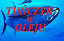 Tuńczyk w oleju