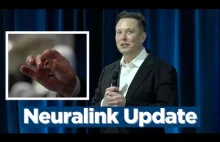Elon Musk prezentuje Neuralink na świniach