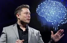 Elon Musk pokazał działający u świni interfejs mózg-komputer od Neuralink