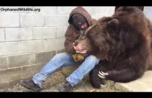 Kiedy twój niedźwiedź miał okropny dzień i potrzebuje dodatkowej miłości