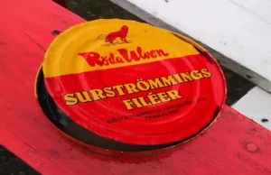 surströmming i pies