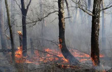 Pożary w Arktyce. W tym roku już o 35 proc. więcej CO2 niż w całym 2019.