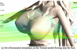 Analiza efektywności aerodynamicznej wielkich piersi