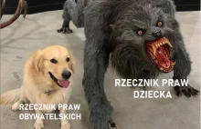 Rzecznik Praw Dziecka, czy zagrożenie praw dziecka?