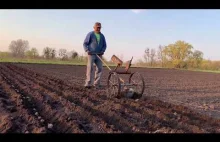 Primitive Technology - Amazing Way to Plant Potatoe