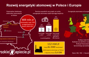 Czy małe reaktory modularne spowodują, że energetyka atomowa wróci do łask?