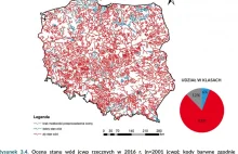 Jaki jest stan rzek i jezior w Polsce? Mirkowpis na podstawie badań GIOŚ