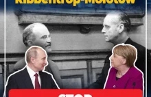 „Nie dla rurociągu Ribbentrop-Mołotow”. Protest narodowców przeciwko Nord...