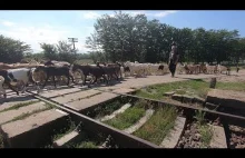 Turcja autostopem w 2020 [odc.4] - Rumuńska wieś