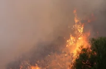 Dziesiątki osób uwięzionych w pożarze. W Kalifronii trwa akcja ratunkowa