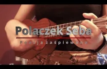 Polaczek Seba - poezja zaśpiewana