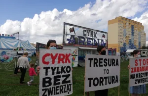 Cyrk przyjechał do Wrocławia, a tu protest. "To piekło dla zwierząt'