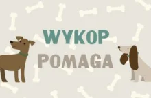 Wsparcie dla fundacji Pogotowia ratunkowego