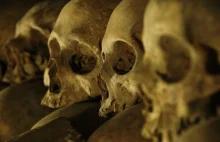 Makabryczne odkrycie w gdańskim kościele. Znaleziono ich tysiące