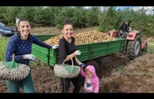 Polskie Wykopki z Dziewczynami