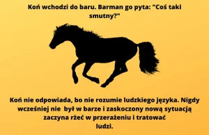 Antyhumor - 10 żartów, które śmieszą, bo nie śmieszą — Tomek Biskup