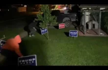 He had fun firing paintballs at trespassing Trump/Pence lawn sign thieves.