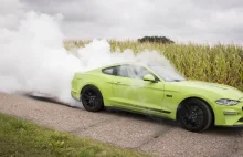 TEST | Ford Mustang GT 5.0 V8 55 Edition – Gatunek zagrożony