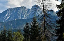 Specjalna msza na Podhalu. Mieszkańcy będą przepraszać za plakat Dudy i...