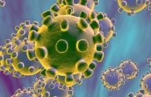 The Right Remedy For The Coronavirus Crisis Is The Truth Not A Vaccine