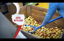 Jak wygląda przetwórstwo jabłek?
