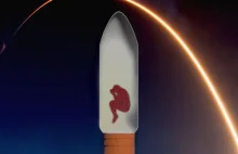 Pasażer na gapę w rakiecie SpaceX - szanse na przeżycie lotu cargo jako satelita