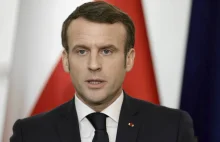Macron zakazuje polowania na ptaki z użyciem kleju. Lobby łowieckie oburzone