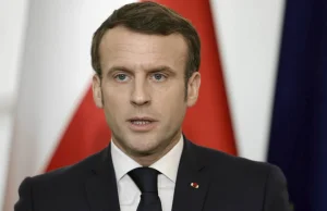 Macron zakazuje polowania na ptaki z użyciem kleju. Lobby łowieckie oburzone