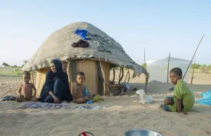 Tuaregowie - królestwo kobiet, marzenie feministek, gdzie facet nie ma nic do