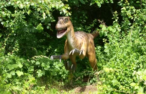 Dinozaury miały się kiepsko jeszcze przed upadkiem meteorytu
