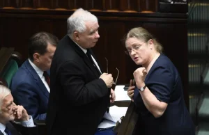 Afera w KOD. Krystyna Pawłowicz apeluje: "Polacy, teraz!"