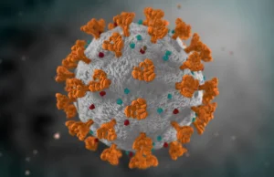 Wirus SARS-CoV-2 z mutacją ∆382 jest mniej zjadliwy.