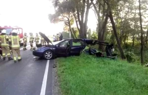 Spowodowała wypadek, bo poprawiała włosy przy 135 km/h