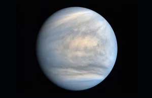 Na Wenus odkryto znaki życia. Dziś konferencja Król. Towarzystwa Astronomicznego