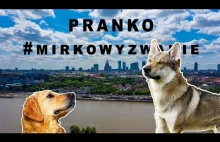 Pranko w wielkim mieście - 10h spacer w 2min