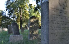 Cmentarza żydowski na Chełmie - relikt nieistniejącego świata