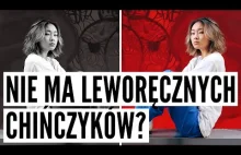 DLACZEGO W CHINACH NIE MA LEWORĘCZNYCH? // CZY LEWORĘCZNOŚĆ TAM NIE WYSTĘPUJE?