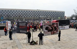 Chcą zakazu epatowania drastycznymi treściami w centrum Krakowa