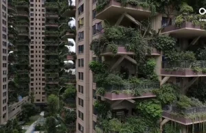 Eko utopia - zielone osiedle, na którym nikt nie chce mieszkać | Ale Jakie