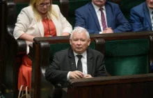 Projekt PiS o ochronie zwierząt przeszedł przez Sejm - za głosowało 356 posłów.