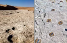 W Arabii Saudyjskiej odnaleziono ludzkie ślady sprzed 120000 lat