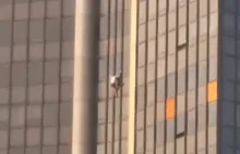 Polak Marcin BNT Banot wspiął się bez zabezp. na 2. najwyższy budynek Paryża!