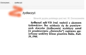 Osadzić polskie krzaczki! - adevo - NEon24.pl