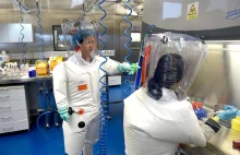 W laboratorium w Wuhan tworzono chimery wirusów, a badania opublikowano w 2015 r