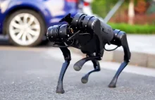 Psy roboty - "idealne" rozwiązanie pod nową ustawę o ochronie zwierząt |...
