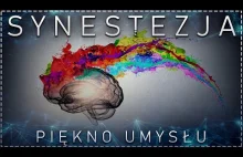 Synestezja. Ponadprzeciętna zdolność mózgu